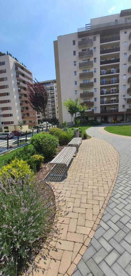 Apartment Alios Lux 브라쇼브 외부 사진