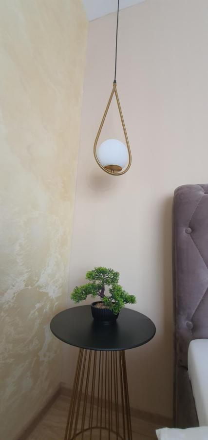 Apartment Alios Lux 브라쇼브 외부 사진