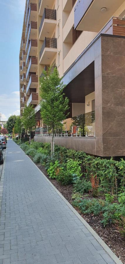 Apartment Alios Lux 브라쇼브 외부 사진